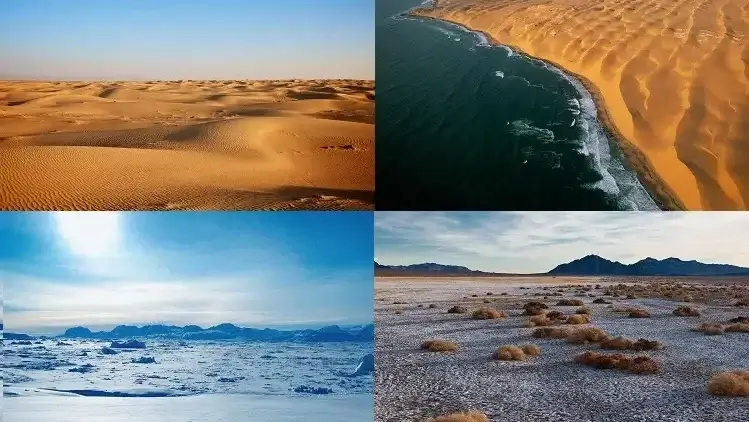 Types of Deserts